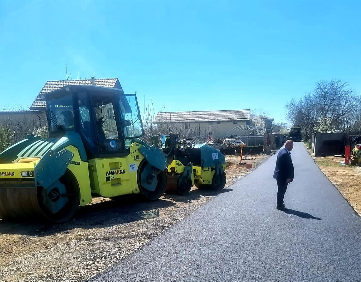 Asfaltare Aleea Craitelor