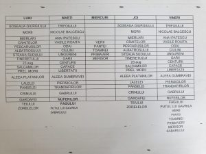 program deseuri menajere